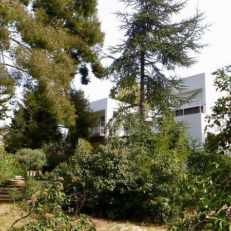 Villa Calanques Bandol ,T2 4 étoiles avec garage, dans pinède Esterno foto
